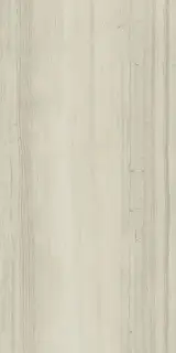 Italon Керамический гранит Charme Advance Floor Project Керамогранит Silk Grey 60x120 патинированный 