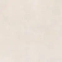 Neutral White