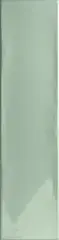 Green Gloss