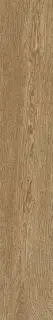Beige Extra Matt Rett