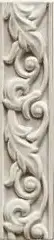 Festone Tortora