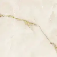 Gold Polished