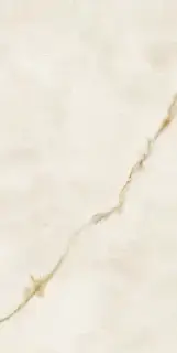 Gold Polished