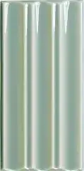 Belt Fern