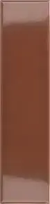 Terra Glossy