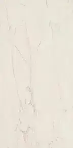 Cremo Delicato