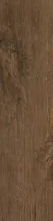 Dark Oak