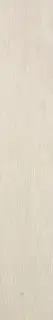 Rovere Bianco