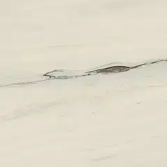 Bianco Fantastico Lap