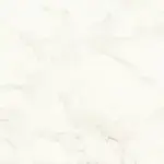 Calacatta Delicato Silk