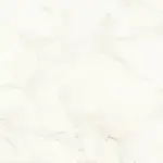 Calacatta Delicato Polished