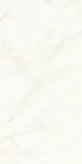 Calacatta Delicato Polished