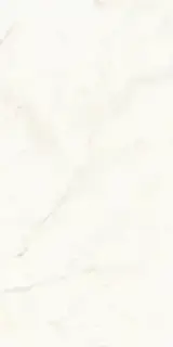 Calacatta Delicato Matte