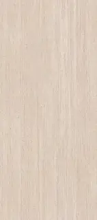 PORCELANOSA XLIGHT TARANTO BONE TEXTURE 120х270 G-2511