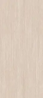 PORCELANOSA XLIGHT TARANTO BONE TEXTURE 02 120х270 G-2711