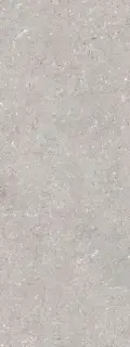 PORCELANOSA CORAL ACERO 45х120 G-270