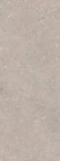 PORCELANOSA CORAL TOPO 45х120 G-270
