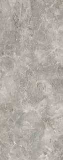 PORCELANOSA ELEGANT GREY 59.6х150 G-276