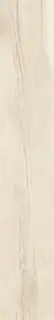 MUSEUM GROW MAPLE SP/R 24х151x0.9 M-104