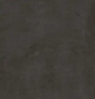 APAVISA EQUINOX ANTHRACITE NATURAL 119.3х119.3 G-3381