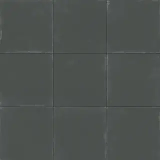 APARICI TANGO ANTHRACITE NATURAL 59.2х59.2 G-3146