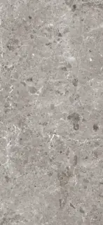 GRESPANIA COVERLAM ARTIC GRIS PULIDO 120х260х5.6
