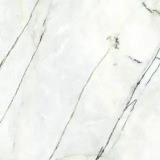 PORCELANOSA XLIGHT CALACATTA GREEN SILK 120х120 G-2531