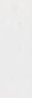 PORCELANOSA RIVOLI 33.3x100 G-261