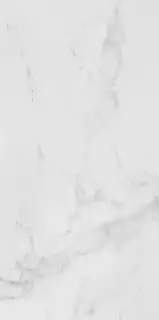 PORCELANOSA CARRARA BLANCO PULIDO 59.6x120 G-389