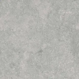 Fossil Gris 2 cm 60x60