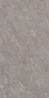 Quartz Dark Grey 2 cm 60x120