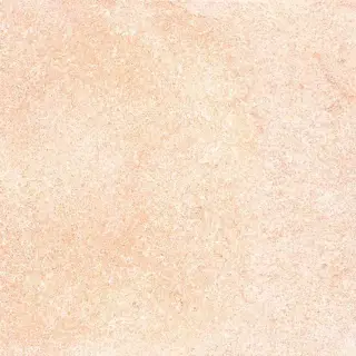 Shunut Beige G302/Шунут бежевый мат.60x60 XX