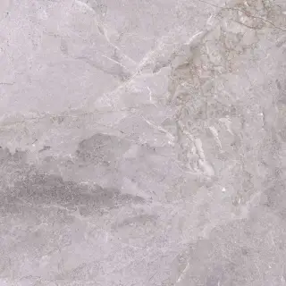 Fior di bosko grey 60x60