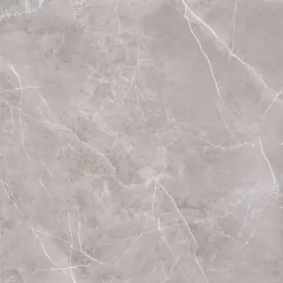 Pulpis grey 60x60