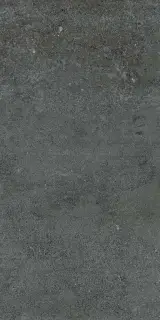 Concrete anthracite 60x120