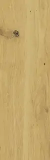 Плитка грес глаз. Cersanit Sandwood_Cers Бежевый KL18.5x59.8