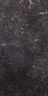 Ardenne Nero 20х40