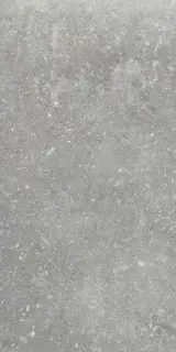 Ardenne Grigio 20x40