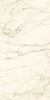 Calacatta Macchia Vecchia Luc |60x120