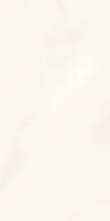 Onice Bianco Extra Lev Silk XX 60x120