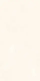 Onice Bianco Extra Luc |60x120