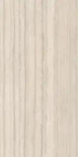 Travertino Silver Prelucidato (Soft) 60x120