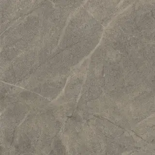 BLSV 60G RM |60x60