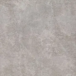 Scout Fog 20 mm 60x60