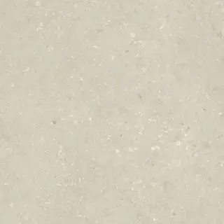 Shellstone Beige 120x120