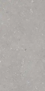 Shellstone Grigio 60x120