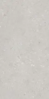 Shellstone Bianco 60x120