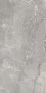 Charme Grey 60x120