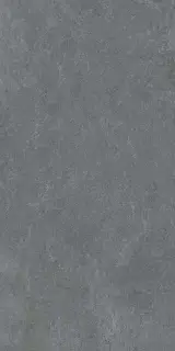 Posh Coal 60x120