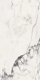 Michelangelo glossy 90x180